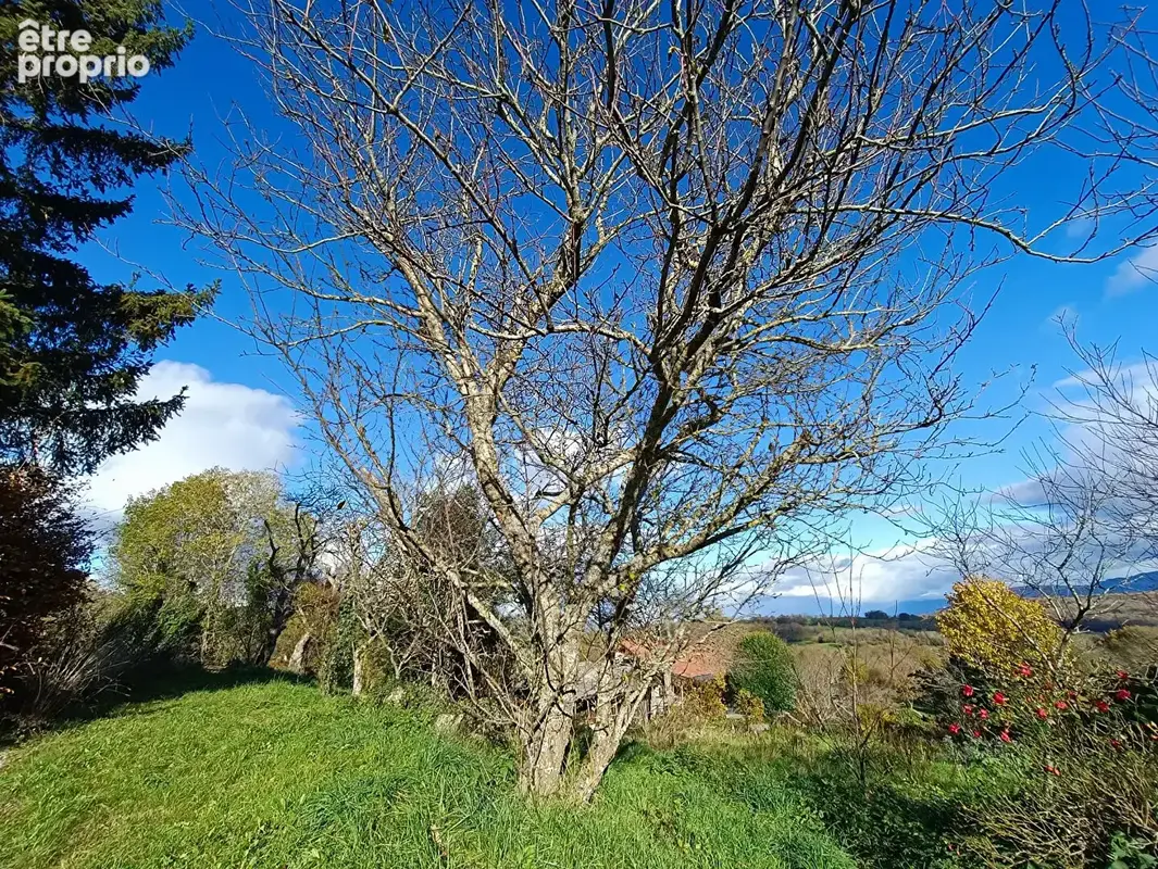 Terrain a vendre a savigny (74520) 1764 m² - photo 4