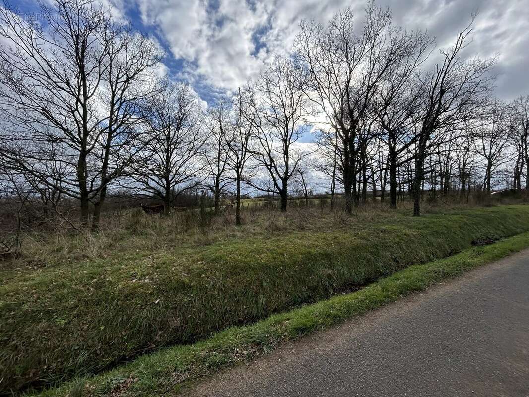 Terrain à MONTBRISON