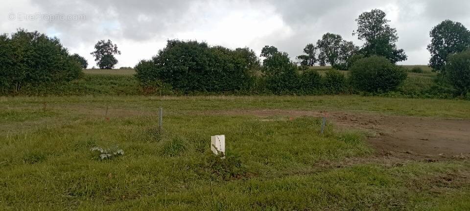 Terrain à CHERENCE-LE-HERON