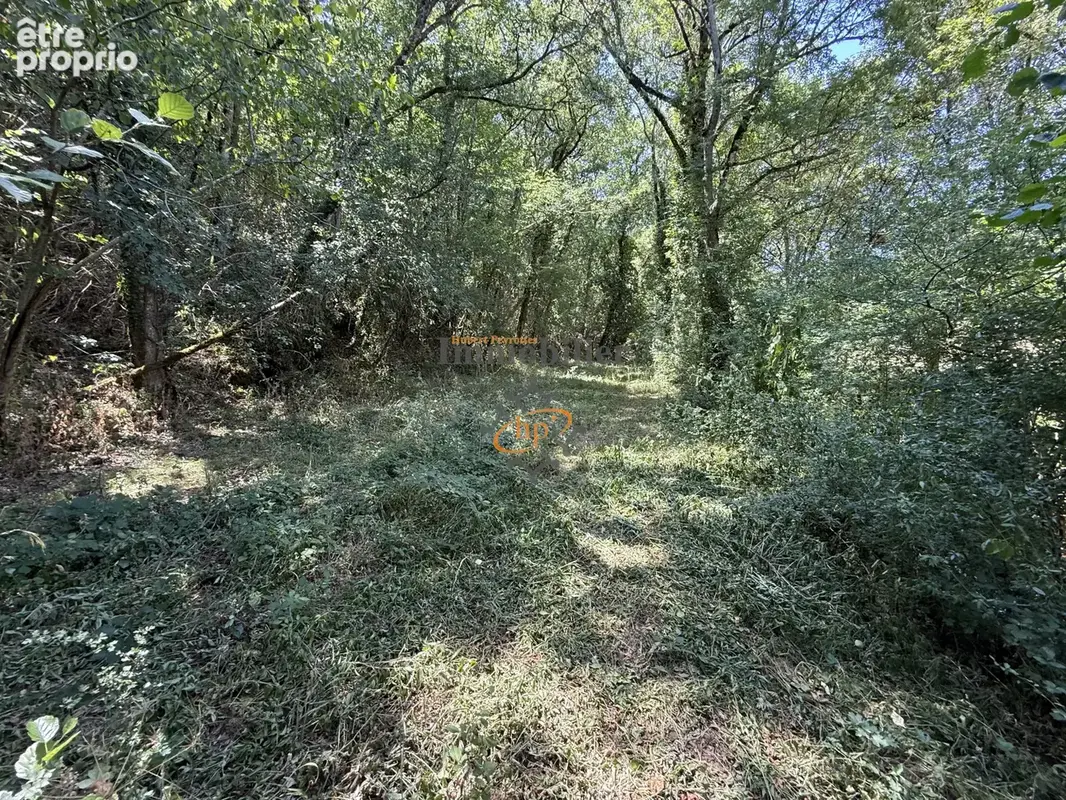 Vente Mazet sur 1,29 hectares de terrains bordé par ruisseau Saint Affrique, - photo 13