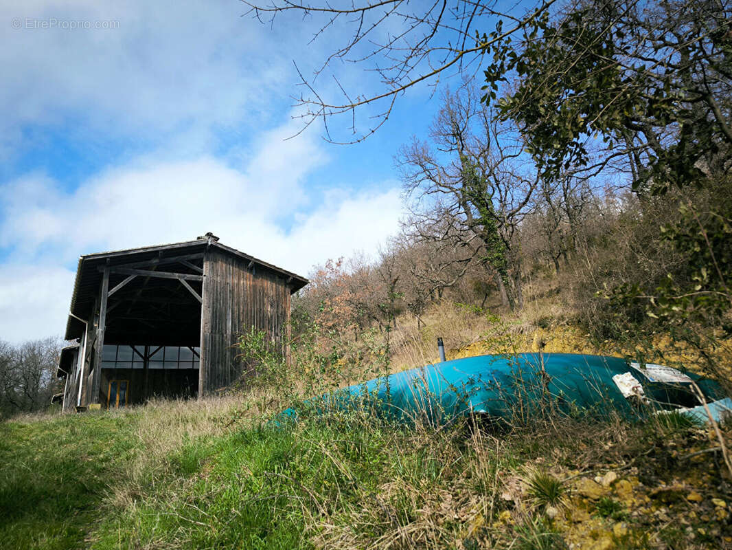 Mirepoix 10 ' . calme 39 ha , maison bio climatique . - photo 12