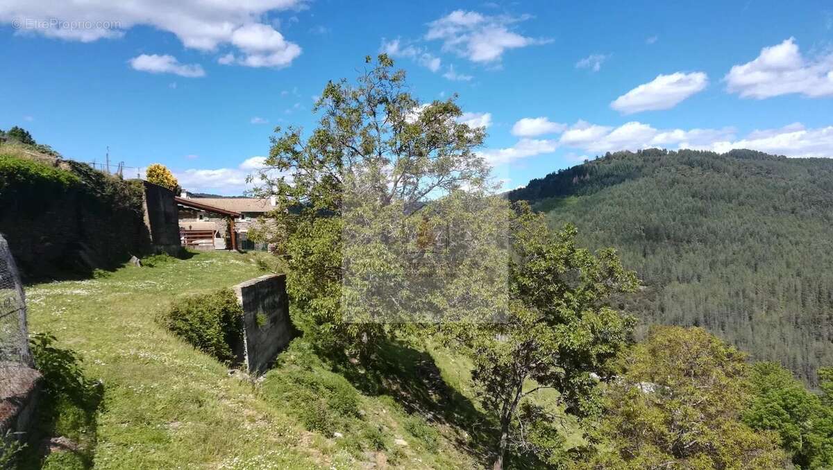 Maison à LE COLLET-DE-DEZE