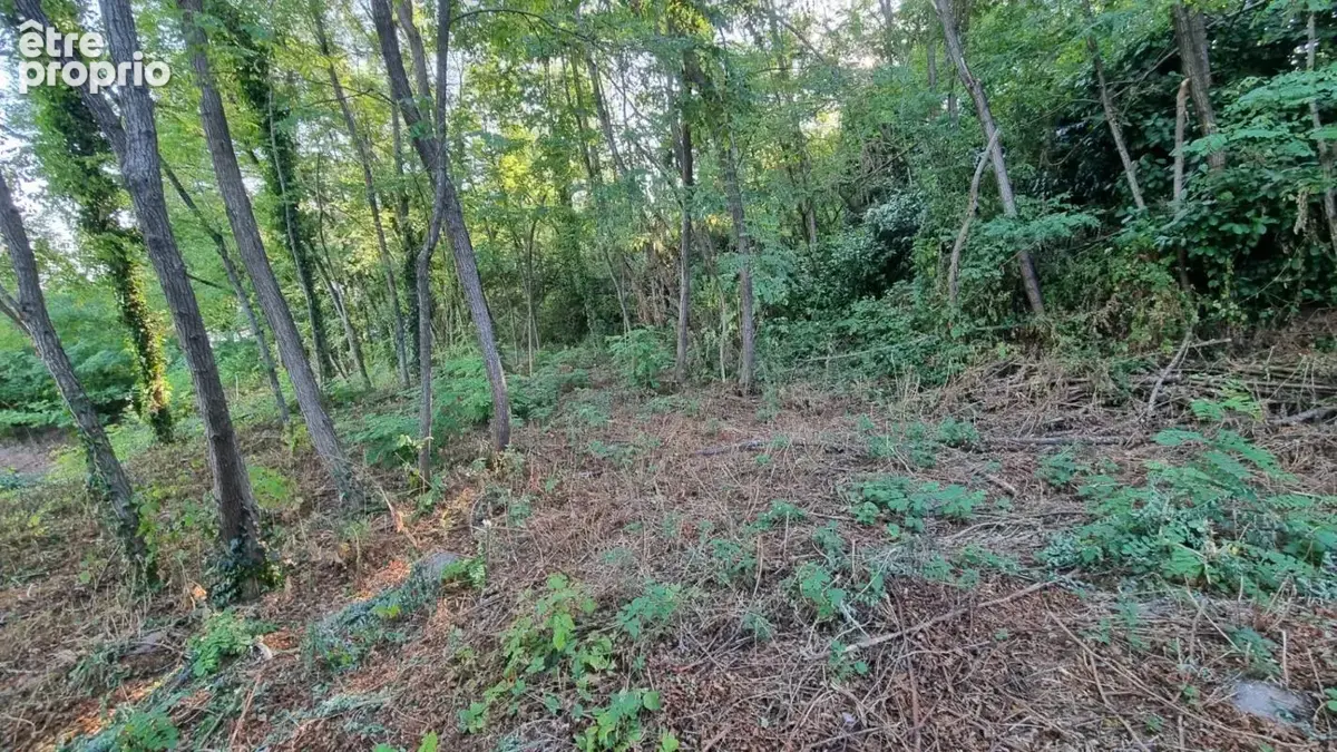 Brive la gaillarde - Proche centre ville - Terrain Constructible - photo 6