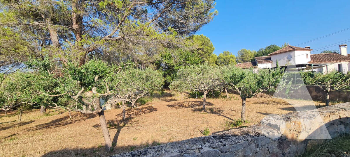 Terrain à SALERNES