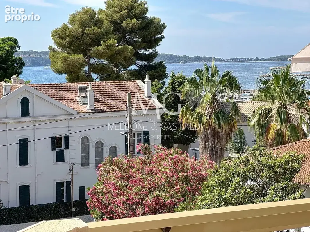 Palm Beach  4 pièces entièrement rénové  Terrasse avec Vue Mer - photo 16
