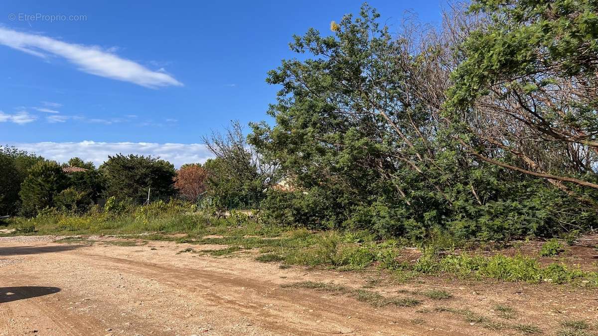 Ensemble Parcellaire de 4.472 m2 (constructible et divisible)  - photo 6