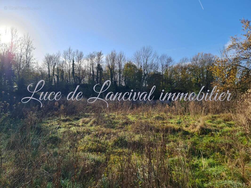 Photo 4 - Appartement à CHARMES