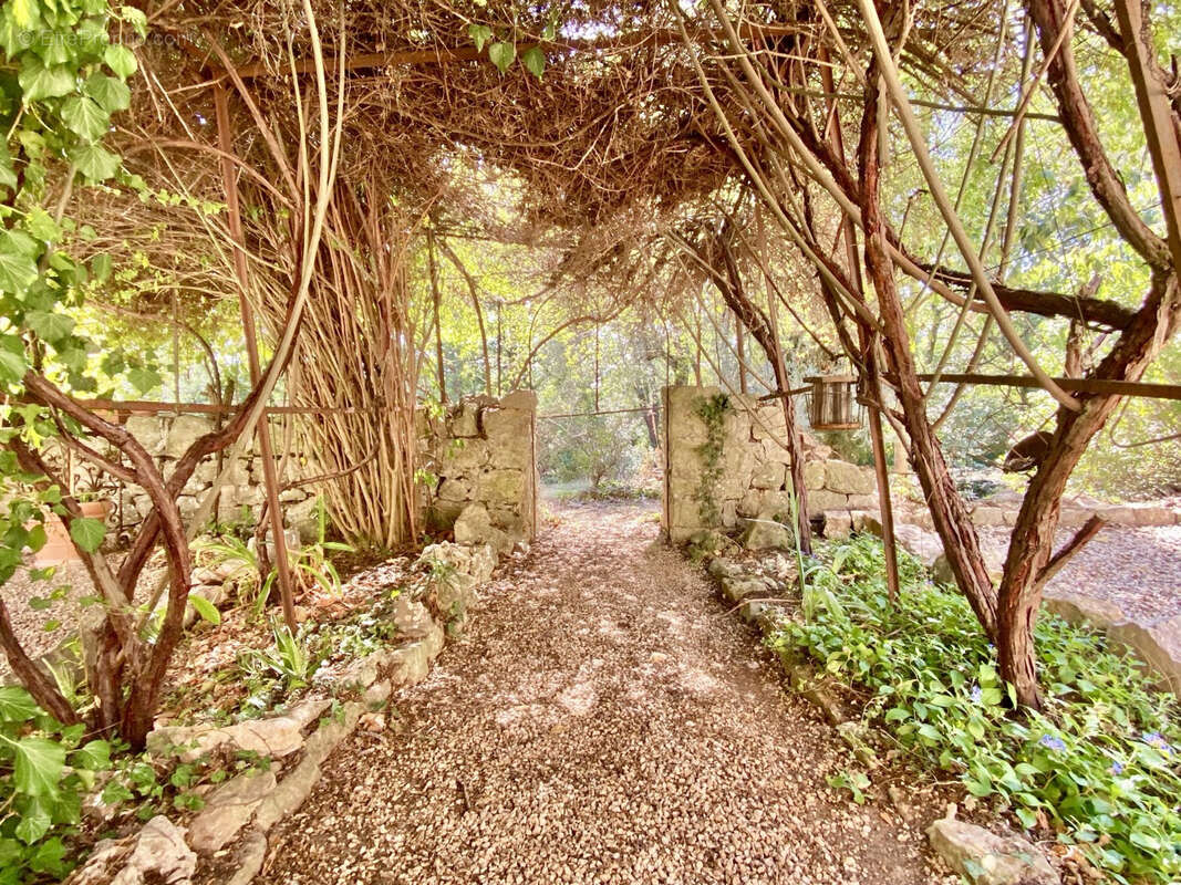 Maison à SAINT-VALLIER-DE-THIEY