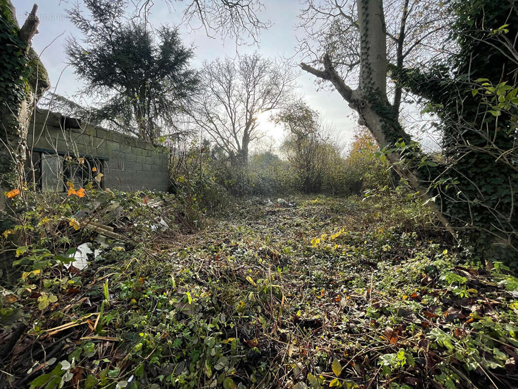 Terrain à BRUAY-LA-BUISSIERE
