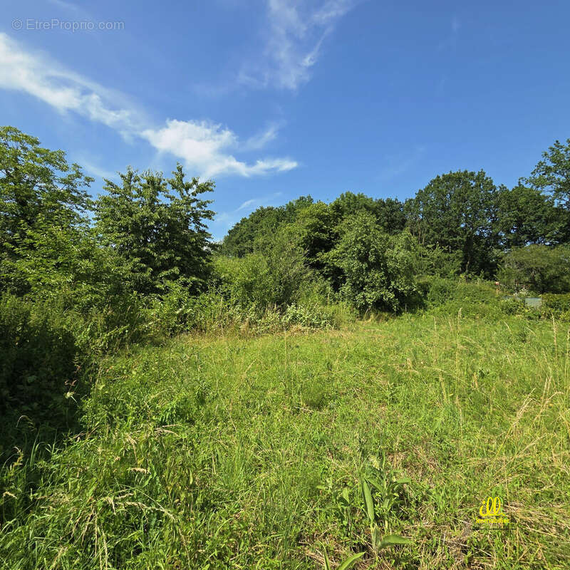 Terrain à FLIZE