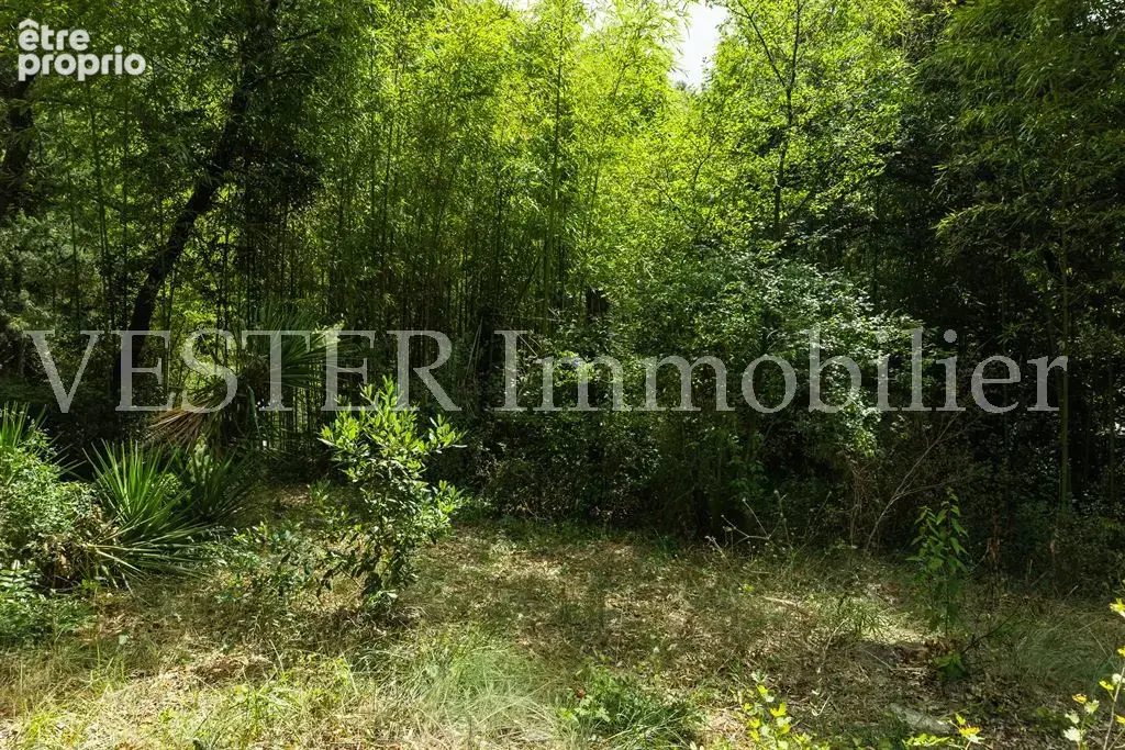 Saumane-de-vaucluse – propriété au cœur d’un environnement préservé - photo 10