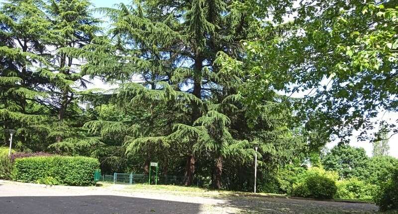 Appartement à ROSNY-SOUS-BOIS