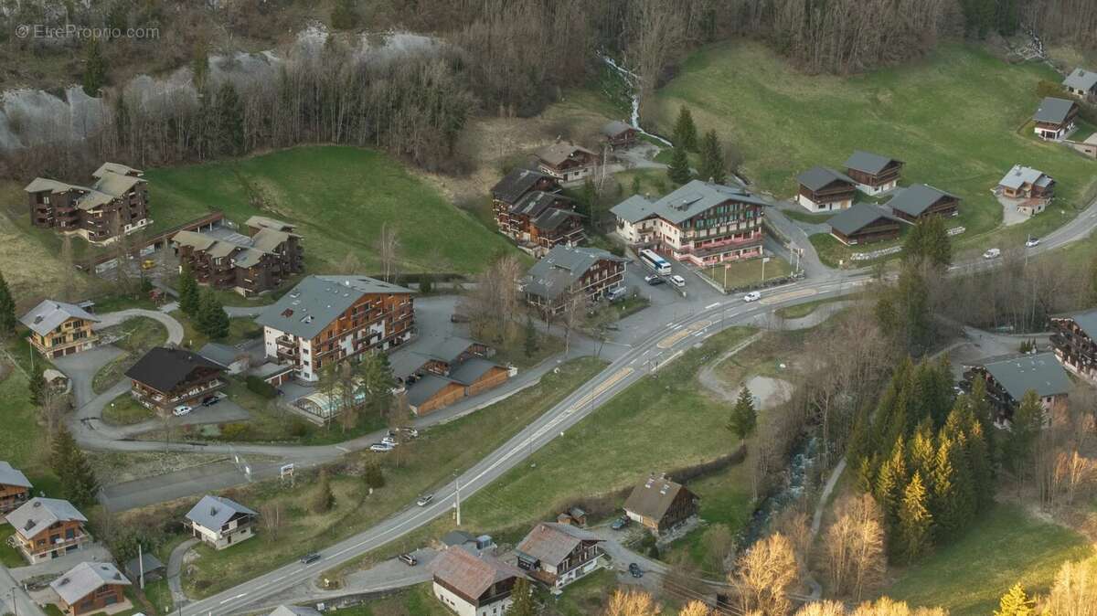 Terrain a vendre abondance - photo 3