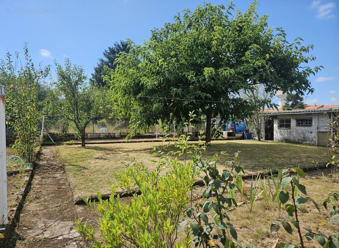 vue côté - Terrain à REZE