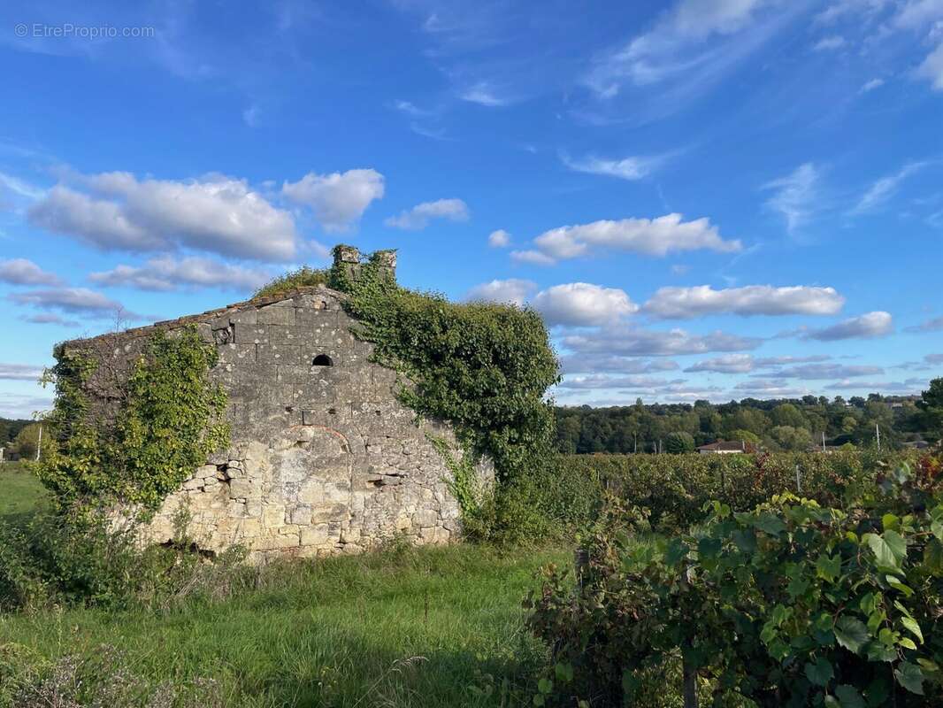 Maison à PUISSEGUIN