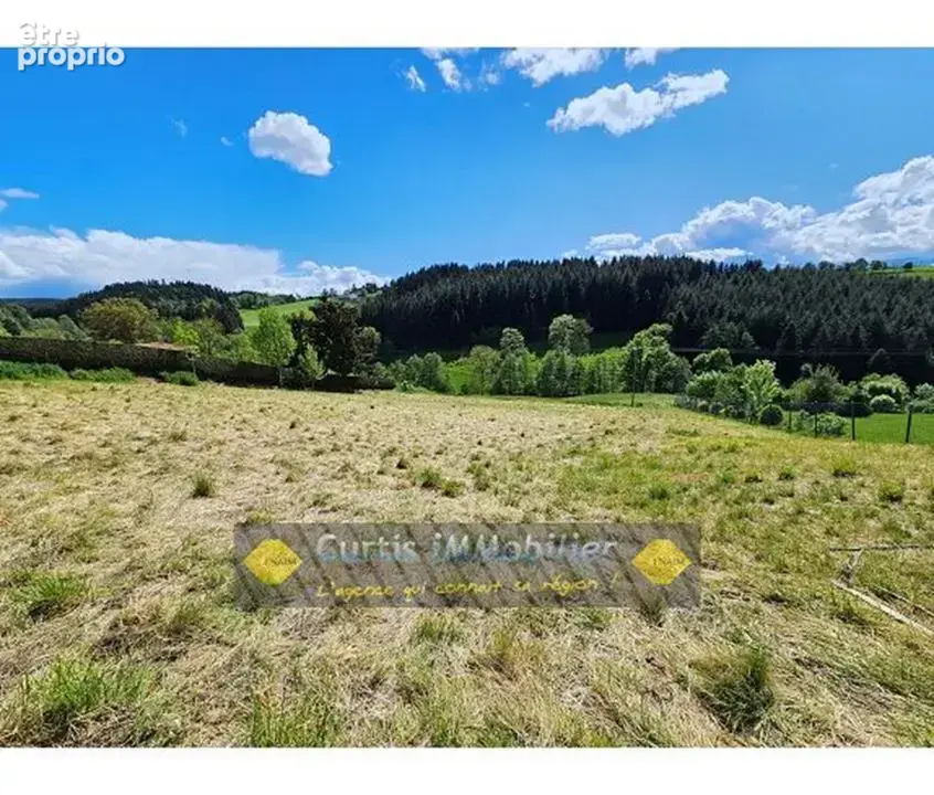 Terrain 1100 m² à Saint-Just-Malmont  - photo 2