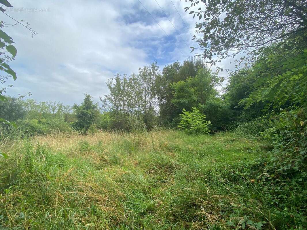 Photo 2 - Terrain à BRIDORE