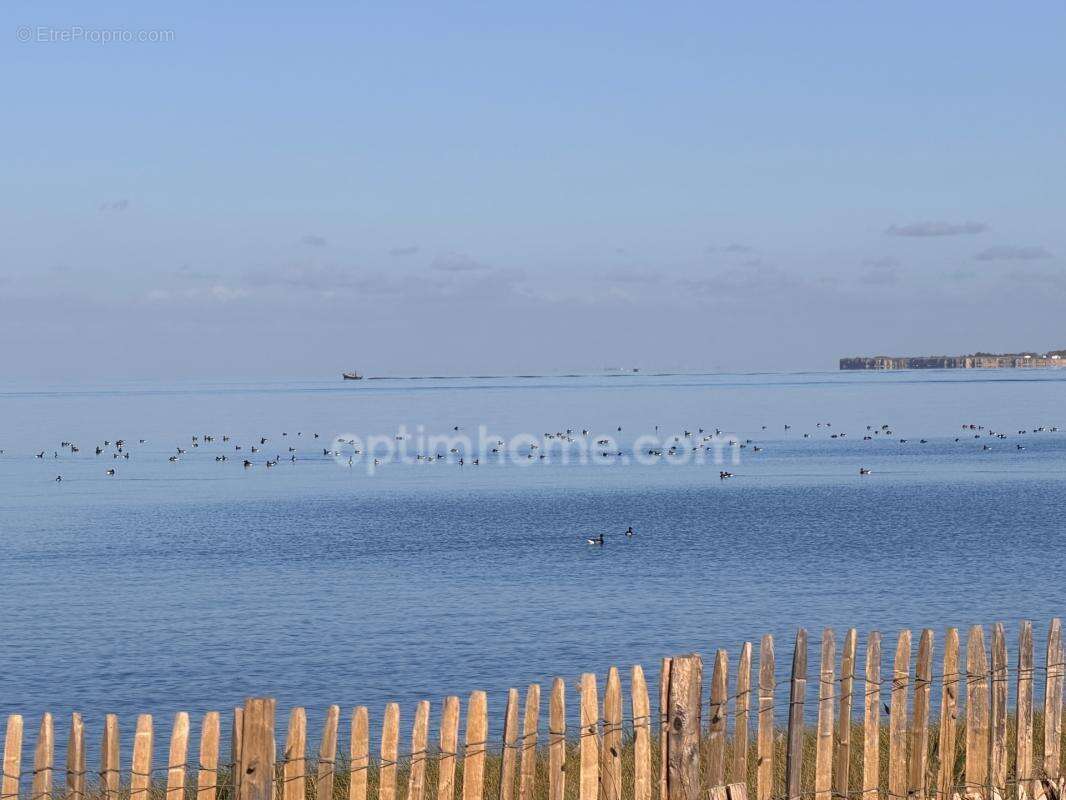 Exceptionnel : vue mer & piscine à rivedoux-plage - photo 16