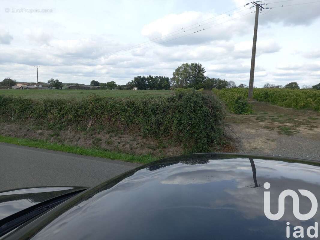 Photo 2 - Terrain à SAINT-CYR-DES-GATS