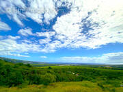 Terrain à SAINT-PAUL