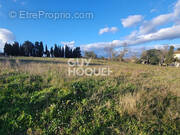 Terrain à CASTELNAU-D&#039;AUDE