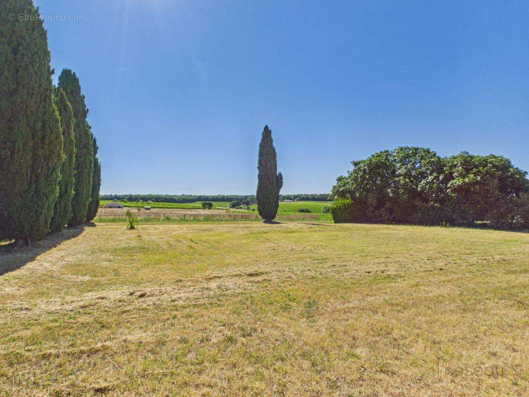 Maison 205 m² à Saint-Thomas-De-Conac  - photo 11