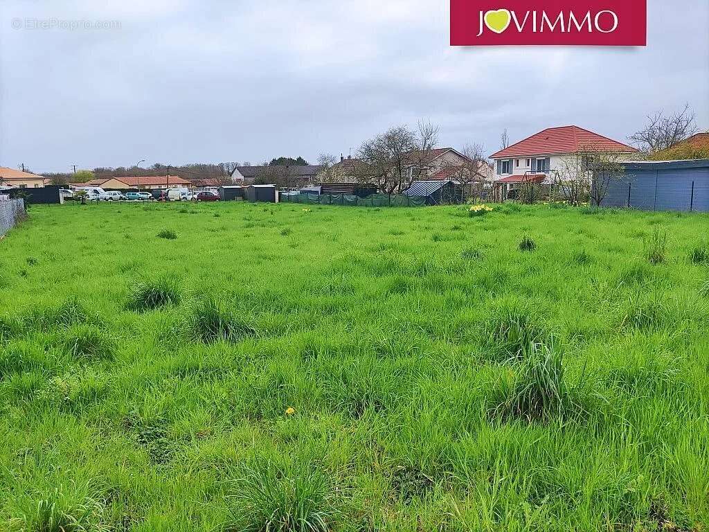 Terrain à CHAMPAGNE-SAINT-HILAIRE