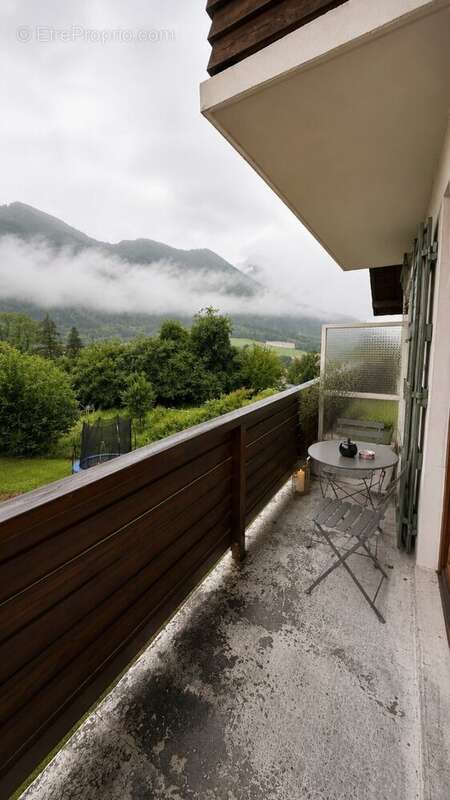 Saint Jeoire appartement T3 - photo 11