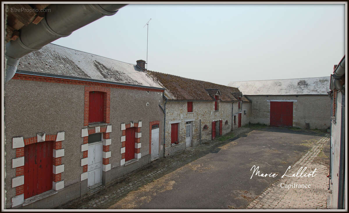 Corps de Ferme à vendre 9 pièces LA NEUVILLE SUR ESSONNE (45), Grange, Terrain Clos - photo 3