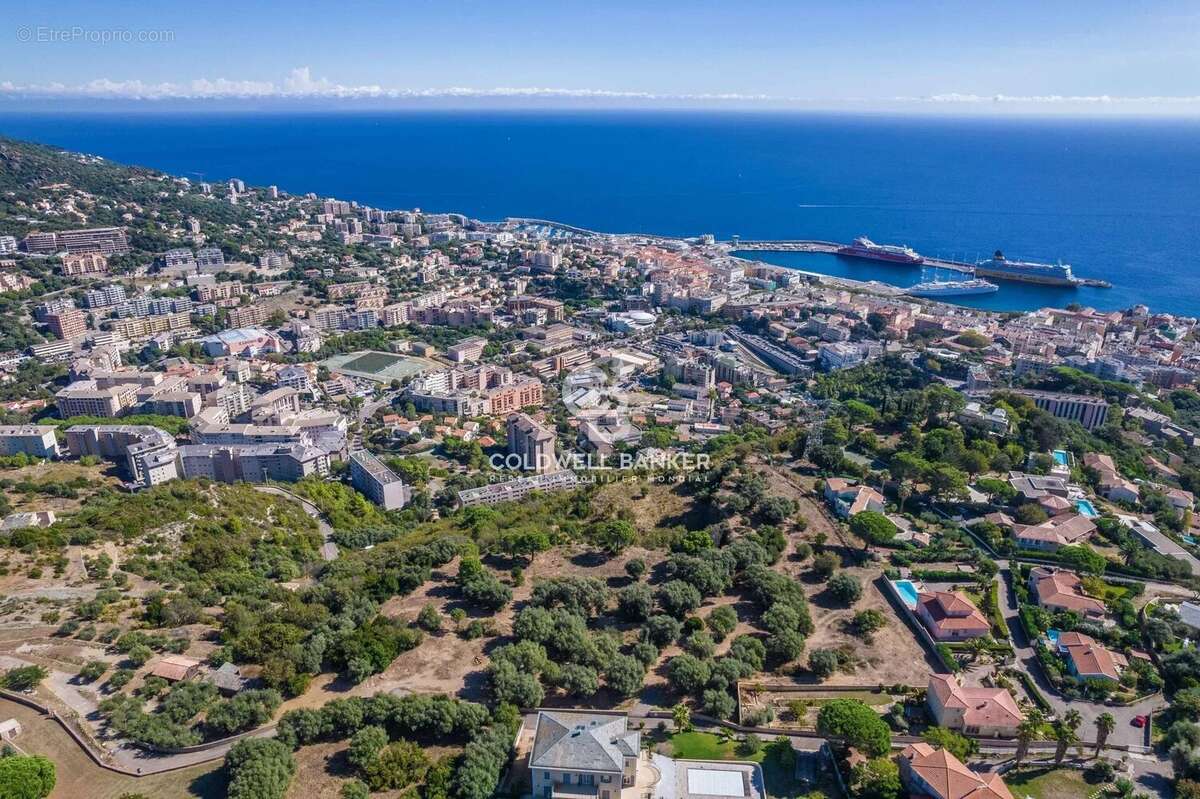 Terrain à SAN-MARTINO-DI-LOTA