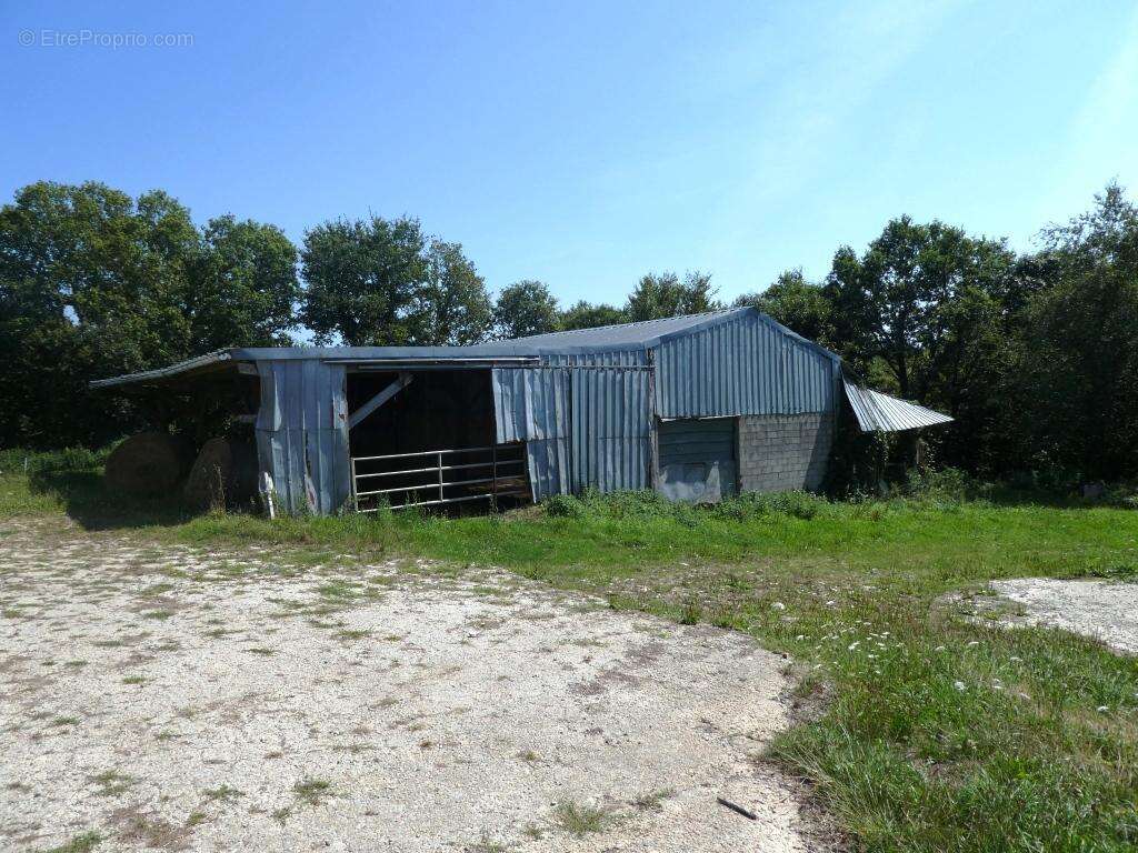 Exploitation agricole - photo 22