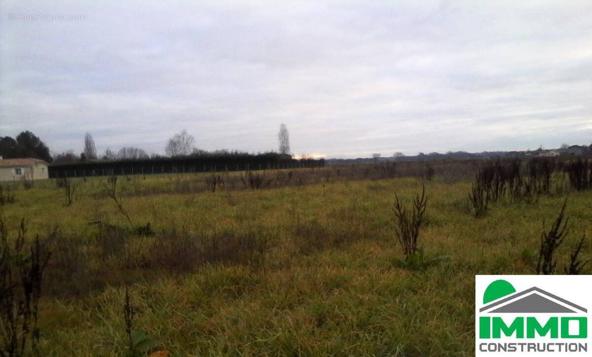 Terrain à BALIZAC