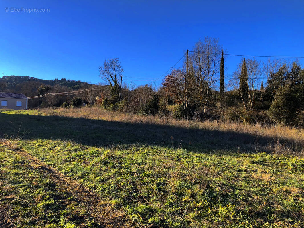 Terrain à MONTOLIEU