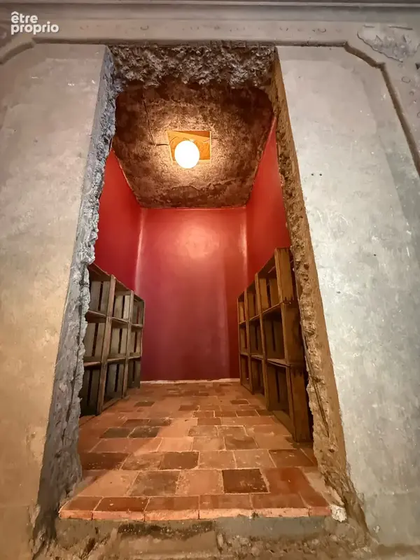 Maison Vigneronne de 495m2 Cazouls les Beziers - photo 23