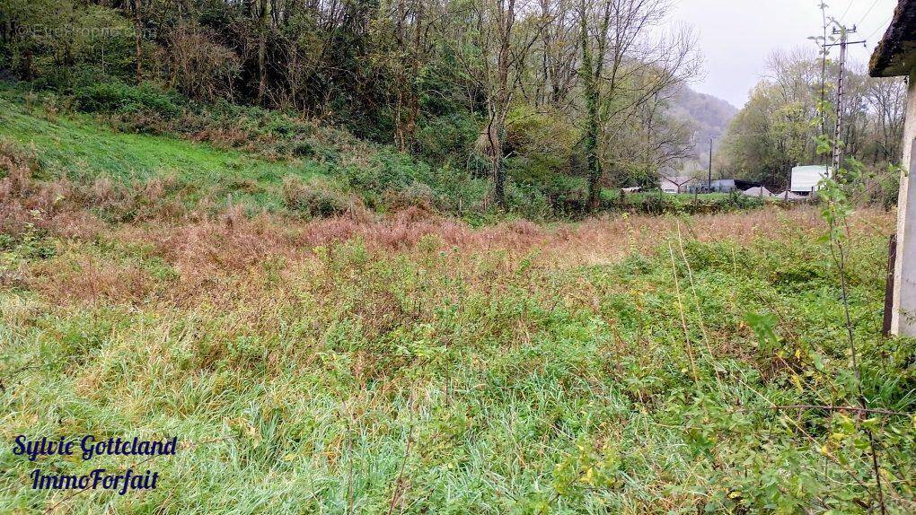 Terrain à IZESTE