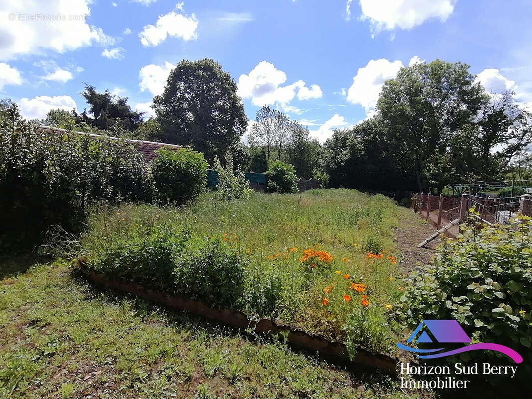 terrain - Maison à SAINT-DENIS-DE-JOUHET