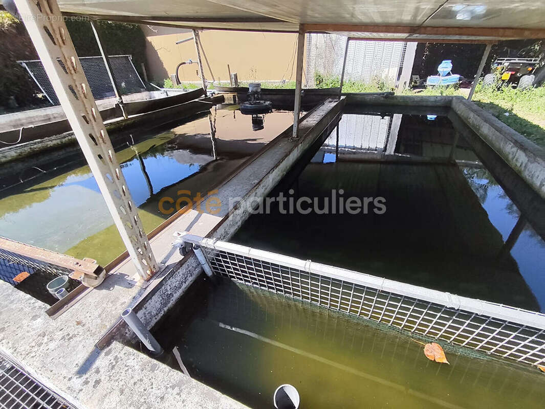 Etang de pêche - photo 6