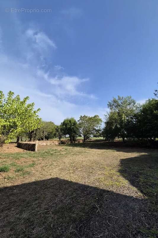 A vendre pomarez maison 6 chambres - photo 14