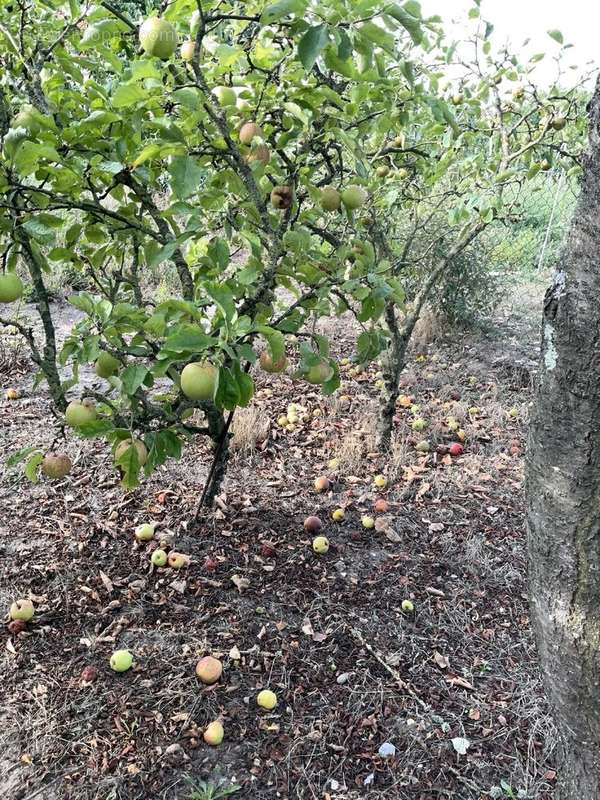 Maison à AIRON-SAINT-VAAST