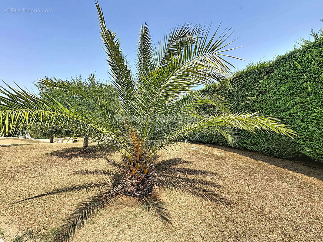 Maison  5 pièce(s) 170 m2, 3chambres, 2SDE, 1SDB, jardin de 1837m2 - photo 18