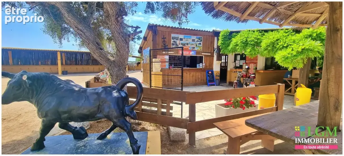 En exclusivité à vendre : RANCH - Le Grau du Roi - Terrain et infrastructure - photo 7