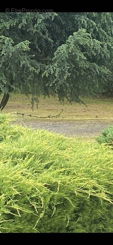 Terrain à COUTEVROULT