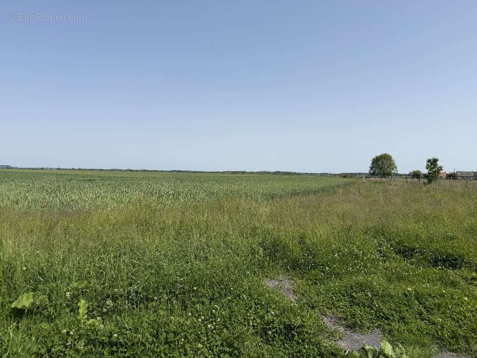 Terrain 418 m² à Roucourt  - photo 3