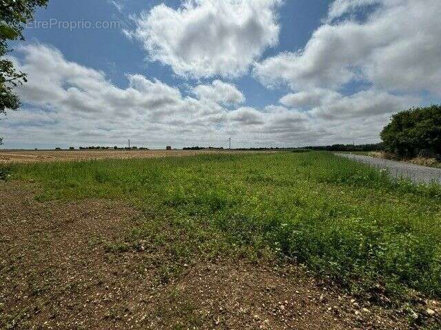Terrain à SAINT-MEDARD-D&#039;AUNIS