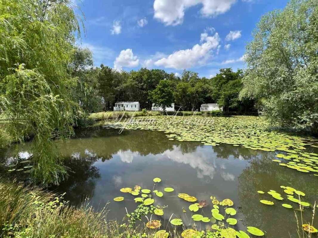Propriete à vendre 45 pièces proche de TOURS (37) - photo 13