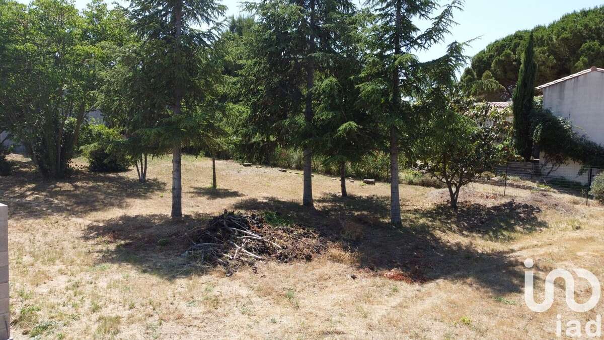 Photo 5 - Terrain à SALLES-D&#039;AUDE