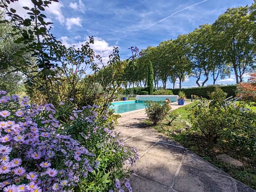 Maison à LISLE-SUR-TARN