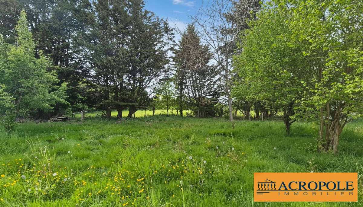 Maison à AUBIGNY-SUR-NERE