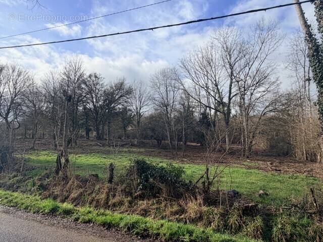 Terrain à PARIGNY-LES-VAUX