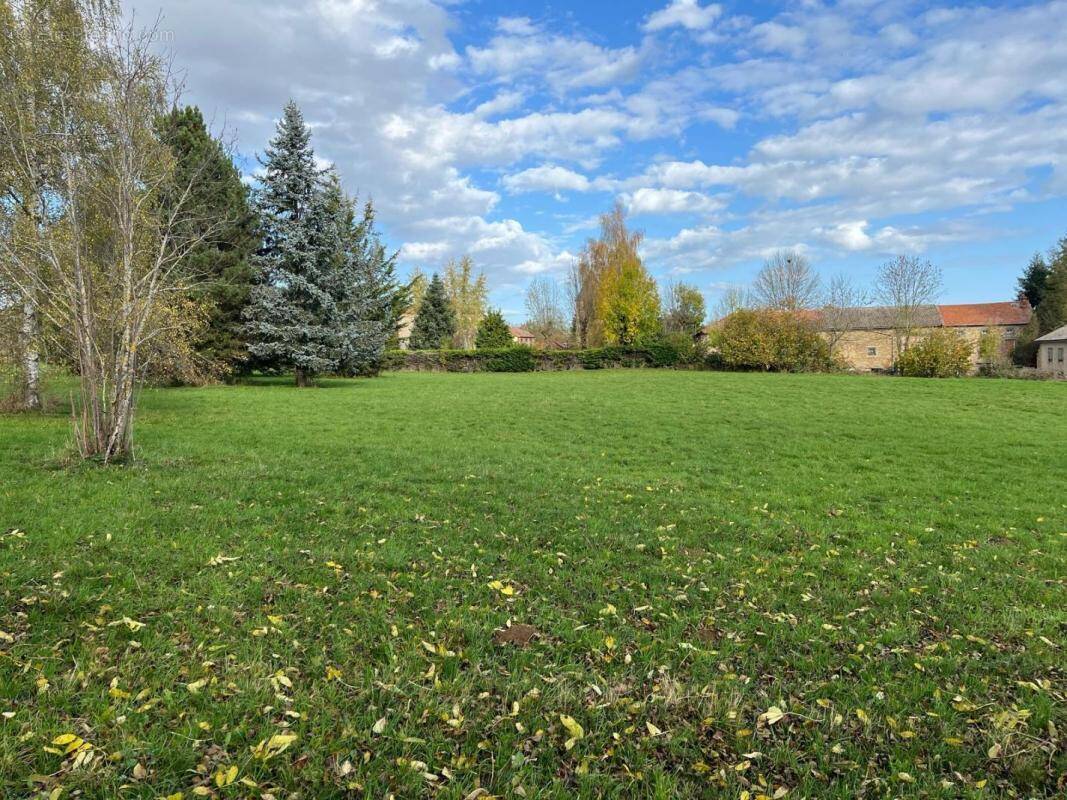 Terrain à SAINT-MARY-LE-PLAIN